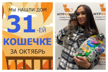 Малышка Кейсси начинает новую жизнь!