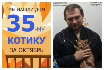 Котенок Песочек отправился в домашнюю жизнь!