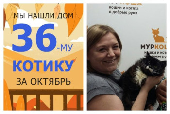 Отправляется домой очаровательный котик Юрик!