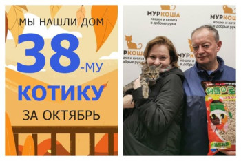 Котёнок Майрон начинает счастливую жизнь дома!