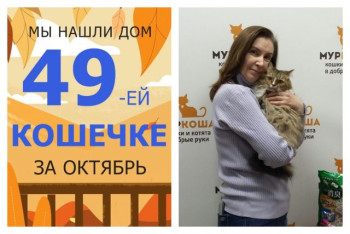 Четырехлетняя Феня уезжает в новый дом!