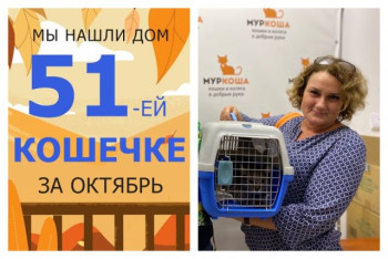 Кошечка Монтана начинает сладкую домашнюю жизнь!