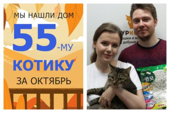 Пятилетний котик Полоскин встретил надёжных хозяев!