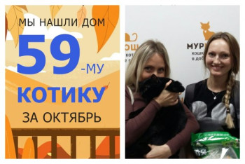 Котик Уго начинает новую счастливую жизнь!