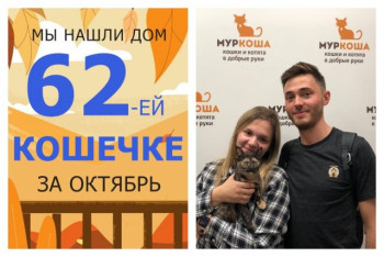 Крошка Илиска стала домашней за один месяц!