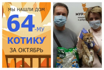 У котика Стёпки теперь есть дом и семья!