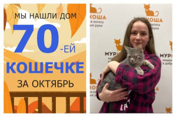 Юная кошечка Заряна стала домашней всего за месяц!