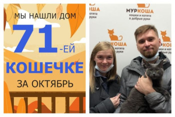 У трёхлетней кошечки Авроры появилась любящая семья!