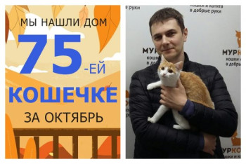 У котенка Морковки появилась любящая семья!