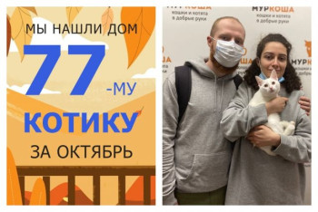 Белоснежный котик Карапуз рад познакомить вас со своими хозяевами!