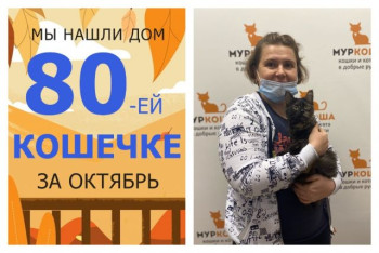 Малышка Лилиана теперь домашняя кошечка!