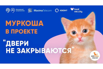 МУРКОША - участник проекта "Двери НЕ закрываются"