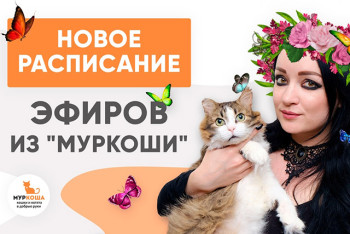 Друзья! Встречаем новое расписание прямых трансляций из "Муркоши"!