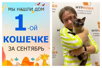Тринадцатилетняя Флория нашла новый дом за два месяца!
