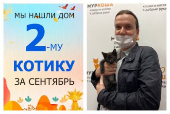 Котёнок Димка теперь домашний!