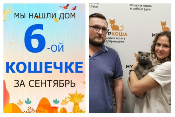 Кошечка Джуди отправилась домой спустя две недели!