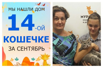 Кошечка Перис Хилтон встретила заботливых хозяев!
