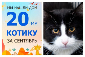 Малыш Федя нашел дом за одну неделю!