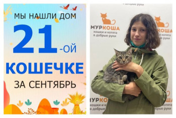 Кошечка Францишка встретила заботливую хозяйку!