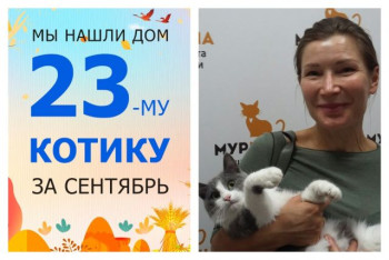 Котик Бабуш начинает жизнь с чистого листа!
