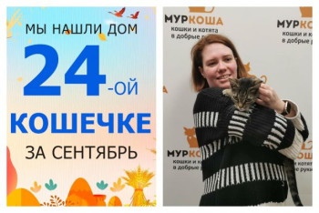 Кошечка Бестия отправилась домой спустя три недели!