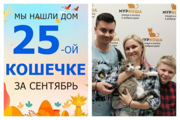 Смелая кошечка Крымчанка стала домашней и любимой!