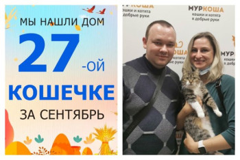 Двухлетняя кошечка Ханна стала домашней любимицей!
