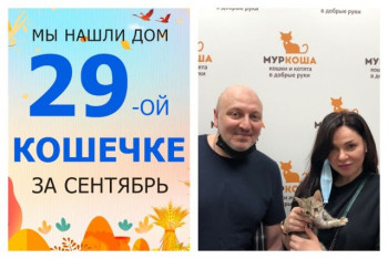 Крошка Нинья теперь в надежных руках!