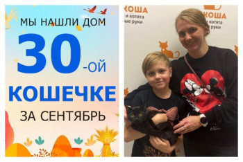 Кошечка Дорис встретила свою семью!