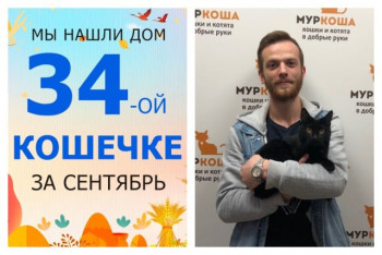 Сладкая кошечка Шарлотка встретила надёжного друга!