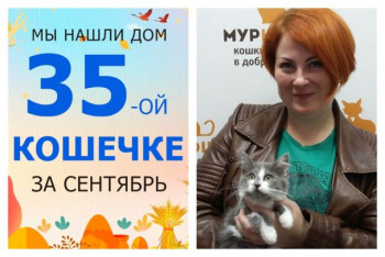 Кошечка Вилочка стала домашней всего за месяц!