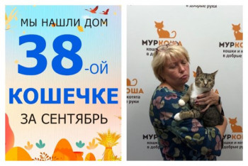 Нежная кошечка Вильда встретила любящую хозяйку!