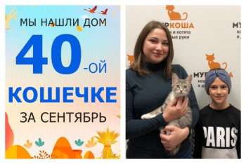Кошечка Сыроежка встретила свою семью!