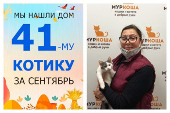 Котик Витязь стал домашним за полтора месяца!
