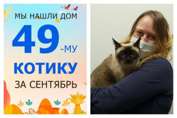 Восьмилетний котик Елизар отправился домой!