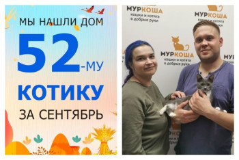 Котёнок Устав начинает домашнюю жизнь!