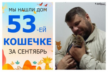 Нежная малышка Конфета встретила любящих хозяев!