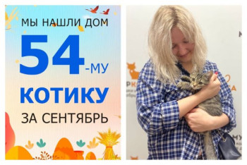 Умный котик Кацу встретил чудесную хозяйку!
