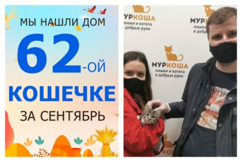 У кошечки Бусинды появились дом и семья!
