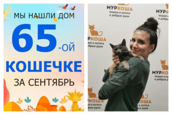 Кошечка Тень выбрала свою хозяйку сердцем!