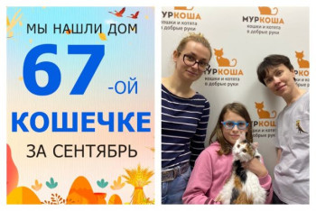У котенка Милашки начинает новая жизнь!