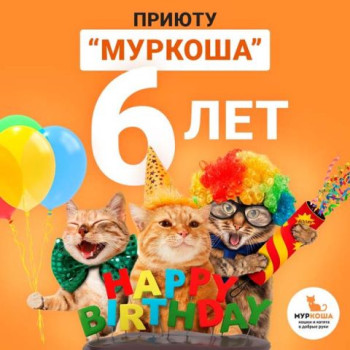 "МУРКОШЕ" – 6 ЛЕТ!