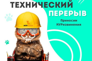 Прямые эфиры. Технический перерыв