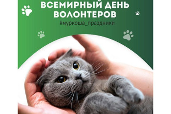 Всемирный день волонтеров