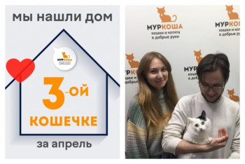 Милая Виспа начинает домашнюю жизнь!