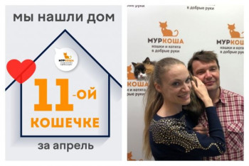 У кошечки Карамелатты появилась заботливая семья!