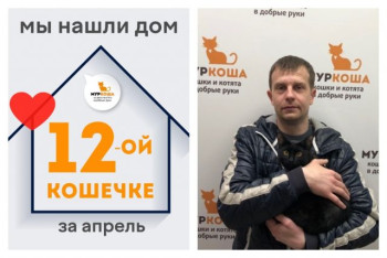 Кошечка Летти рада познакомить со своим хозяином!