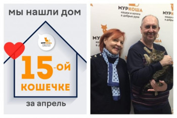 Прекрасная кошечка Пицца отправилась домой!