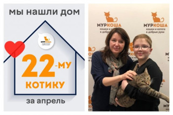 Котик Метеор стал частью прекрасной семьи!