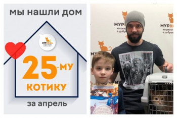 Котик Рысик отправляется в домашнюю жизнь!